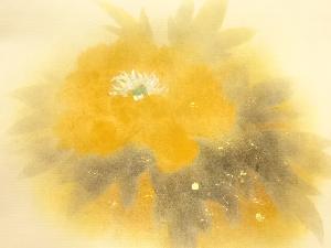 アンティーク　塩瀬花模様開き名古屋帯（額縁仕立て）